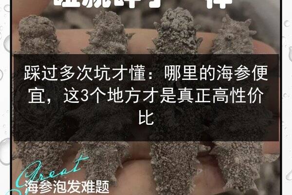 踩过多次坑才懂：哪里的海参便宜，这3个地方才是真正高性价比