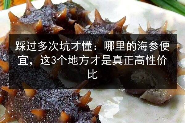 踩过多次坑才懂：哪里的海参便宜，这3个地方才是真正高性价比