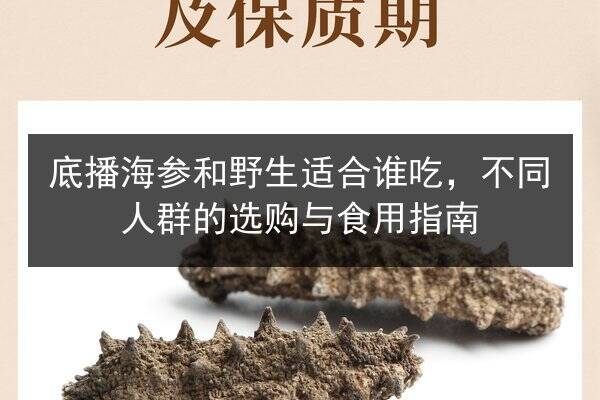 底播海参和野生适合谁吃,不同人群的选购与食用指南