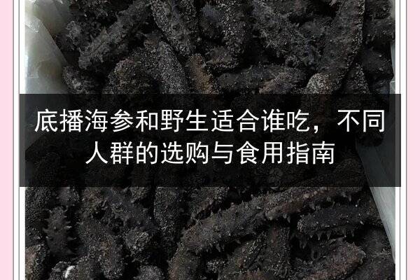 底播海参和野生适合谁吃,不同人群的选购与食用指南