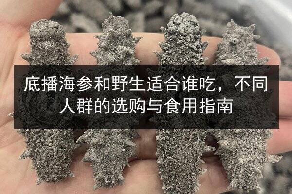 底播海参和野生适合谁吃,不同人群的选购与食用指南
