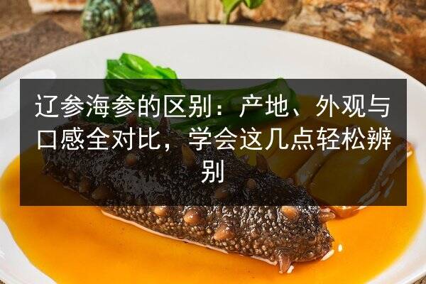 辽参海参的区别:产地、外观与口感全对比,学会这几点轻松辨别