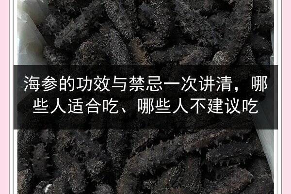 海参的功效与禁忌一次讲清,哪些人适合吃、哪些人不建议吃