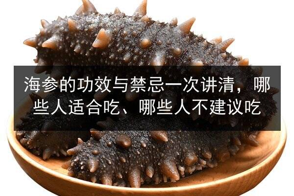 海参的功效与禁忌一次讲清,哪些人适合吃、哪些人不建议吃