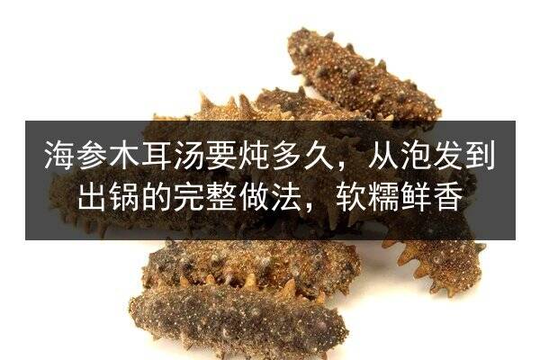 海参木耳汤要炖多久,从泡发到出锅的完整做法,软糯鲜香