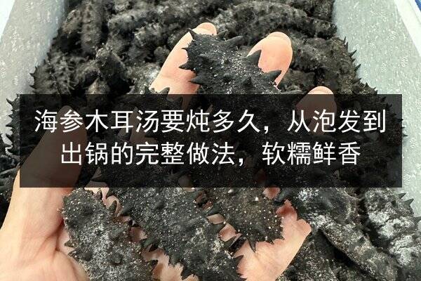 海参木耳汤要炖多久,从泡发到出锅的完整做法,软糯鲜香