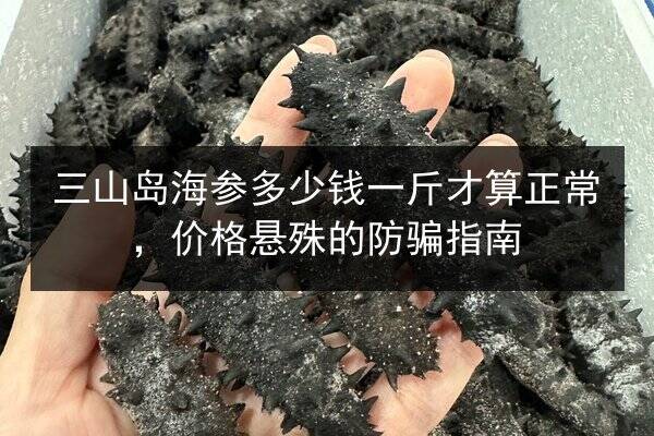 三山岛海参多少钱一斤才算正常,价格悬殊的防骗指南