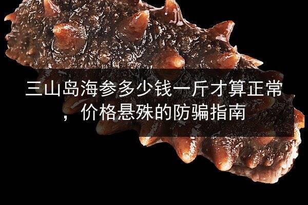 三山岛海参多少钱一斤才算正常,价格悬殊的防骗指南