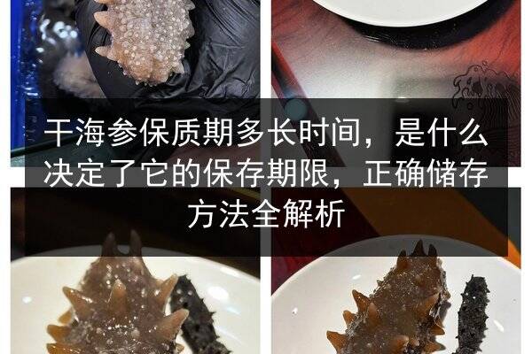 干海参保质期多长时间,是什么决定了它的保存期限,正确储存方法全解析
