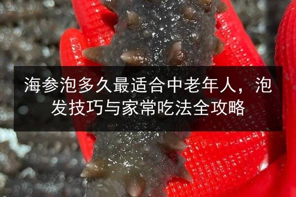 海参泡多久最适合中老年人，泡发技巧与家常吃法全攻略