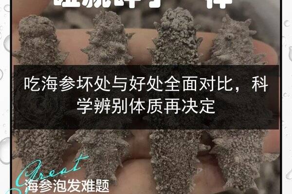 吃海参坏处与好处全面对比,科学辨别体质再决定