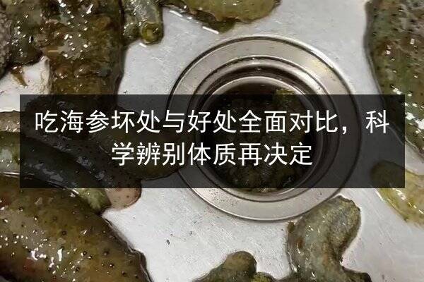 吃海参坏处与好处全面对比,科学辨别体质再决定