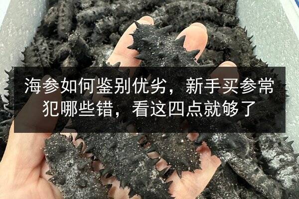 海参如何鉴别优劣，新手买参常犯哪些错，看这四点就够了
