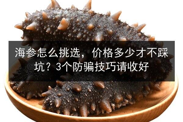 海参怎么挑选,价格多少才不踩坑?3个防骗技巧请收好