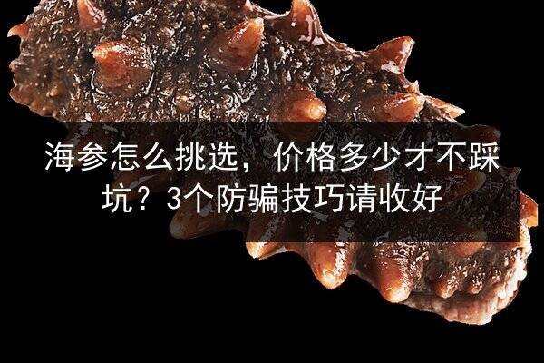 海参怎么挑选,价格多少才不踩坑?3个防骗技巧请收好