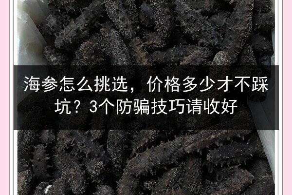 海参怎么挑选,价格多少才不踩坑?3个防骗技巧请收好