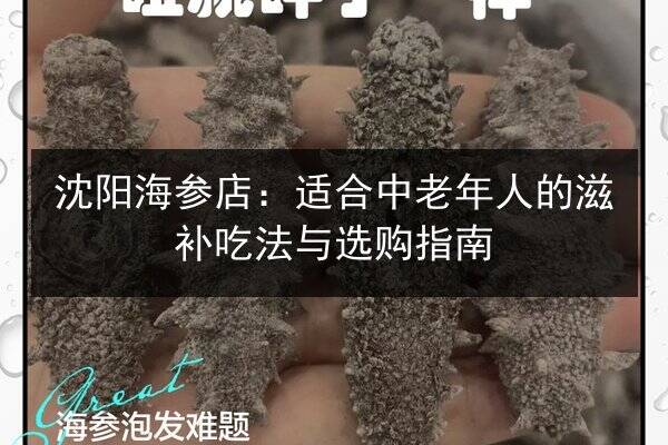 沈阳海参店：适合中老年人的滋补吃法与选购指南