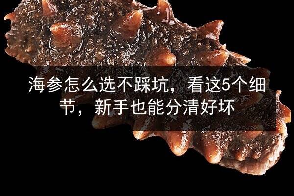 海参怎么选不踩坑，看这5个细节，新手也能分清好坏