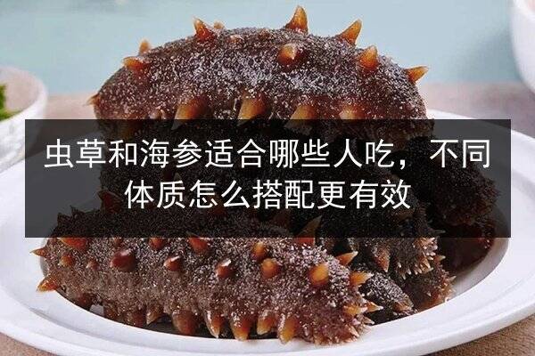 虫草和海参适合哪些人吃,不同体质怎么搭配更有效