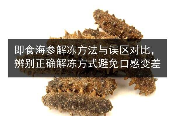 即食海参解冻方法与误区对比,辨别正确解冻方式避免口感变差