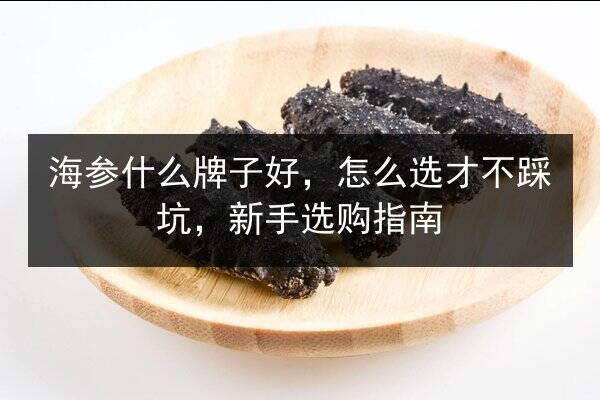 海参什么牌子好,怎么选才不踩坑,新手选购指南