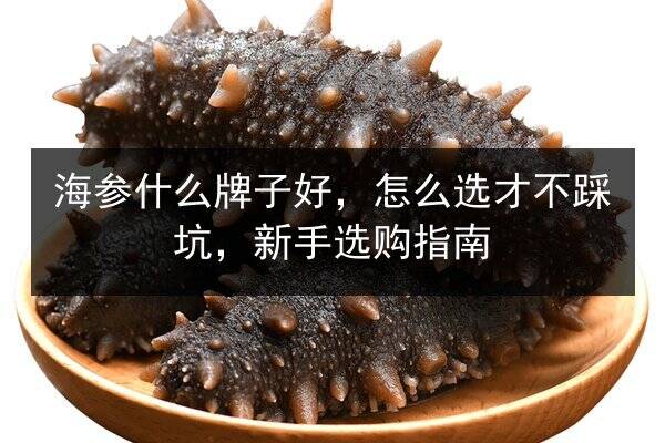 海参什么牌子好,怎么选才不踩坑,新手选购指南