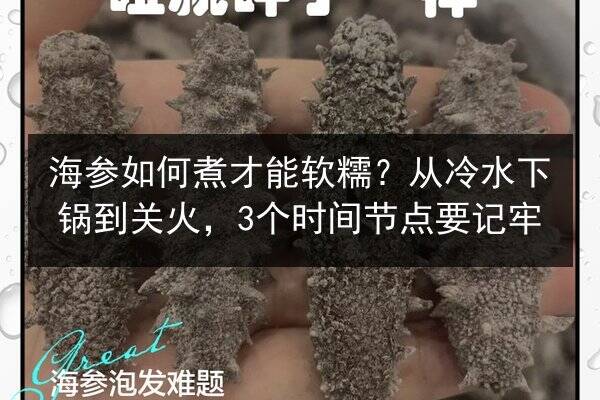 海参如何煮才能软糯?从冷水下锅到关火,3个时间节点要记牢