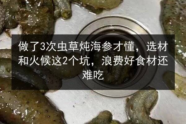 做了3次虫草炖海参才懂，选材和火候这2个坑，浪费好食材还难吃