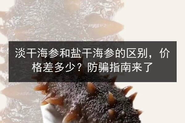 淡干海参和盐干海参的区别，价格差多少？防骗指南来了