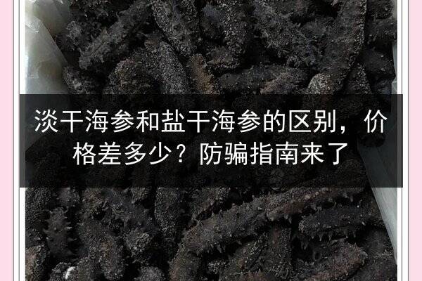 淡干海参和盐干海参的区别，价格差多少？防骗指南来了
