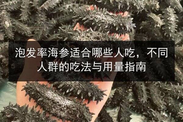 泡发率海参适合哪些人吃,不同人群的吃法与用量指南