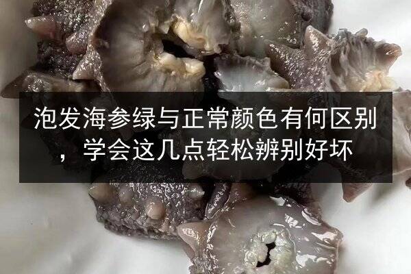 泡发海参绿与正常颜色有何区别,学会这几点轻松辨别好坏
