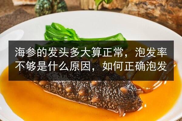 海参的发头多大算正常,泡发率不够是什么原因,如何正确泡发