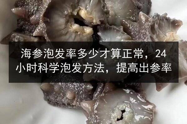 海参泡发率多少才算正常，24小时科学泡发方法，提高出参率