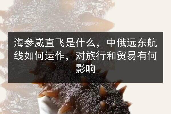 海参崴直飞是什么，中俄远东航线如何运作，对旅行和贸易有何影响