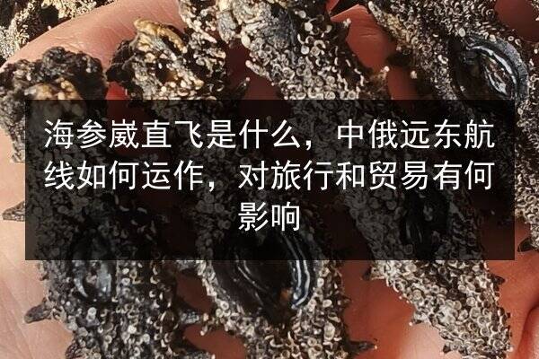 海参崴直飞是什么，中俄远东航线如何运作，对旅行和贸易有何影响