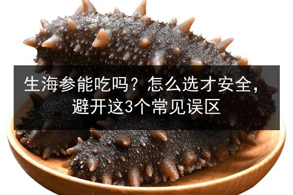 生海参能吃吗?怎么选才安全,避开这3个常见误区