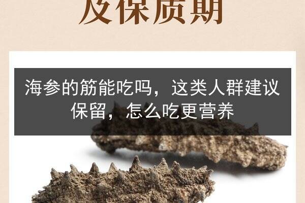 海参的筋能吃吗,这类人群建议保留,怎么吃更营养