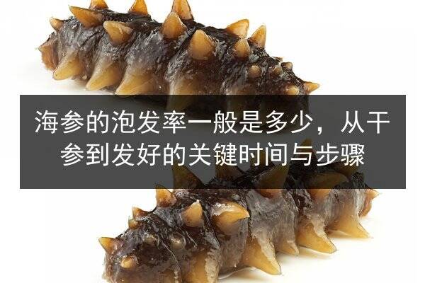 海参的泡发率一般是多少，从干参到发好的关键时间与步骤