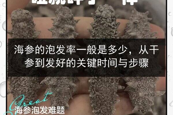海参的泡发率一般是多少，从干参到发好的关键时间与步骤