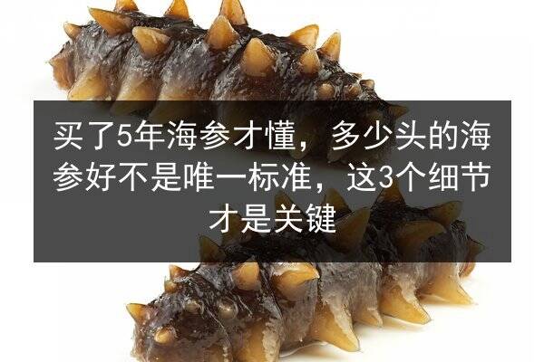 买了5年海参才懂,多少头的海参好不是唯一标准,这3个细节才是关键