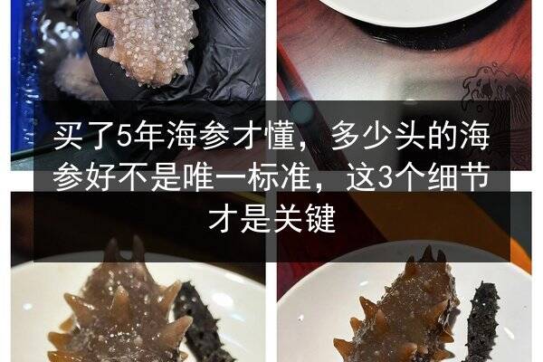 买了5年海参才懂,多少头的海参好不是唯一标准,这3个细节才是关键