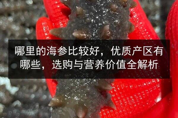 哪里的海参比较好,优质产区有哪些,选购与营养价值全解析