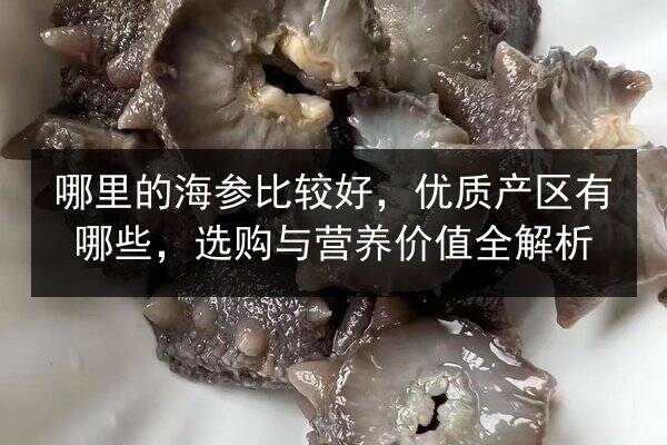 哪里的海参比较好,优质产区有哪些,选购与营养价值全解析