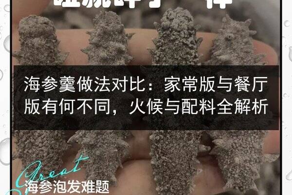 海参羹做法对比：家常版与餐厅版有何不同，火候与配料全解析