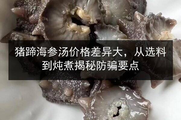 猪蹄海参汤价格差异大,从选料到炖煮揭秘防骗要点