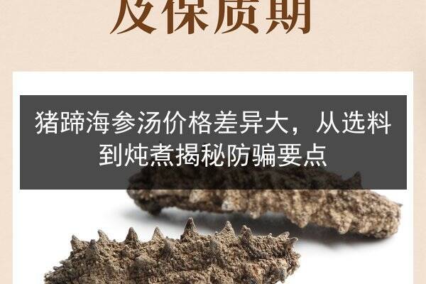 猪蹄海参汤价格差异大,从选料到炖煮揭秘防骗要点