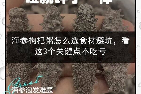 海参枸杞粥怎么选食材避坑,看这3个关键点不吃亏