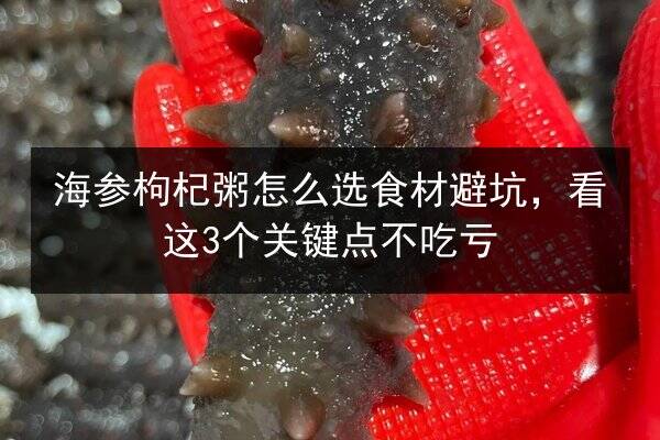 海参枸杞粥怎么选食材避坑,看这3个关键点不吃亏
