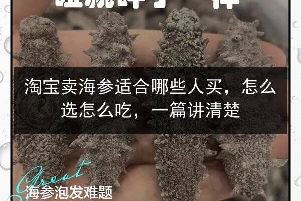 淘宝卖海参适合哪些人买,怎么选怎么吃,一篇讲清楚